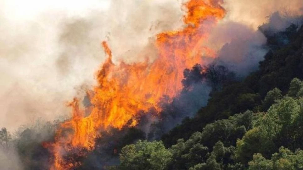 Συναγερμός στην Κρήτη: Δύο πύρινα μέτωπα σε Λασίθι και Ρέθυμνο